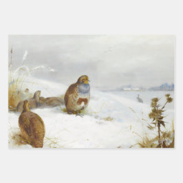  vogelillustraties kunst inpakpapier vel