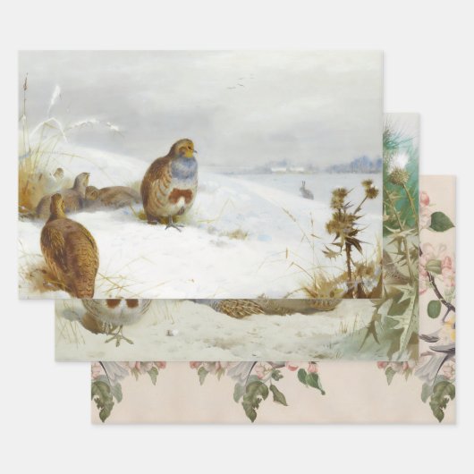 vogelillustraties kunst inpakpapier vel (Set)