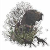 Vogeljacht, Duitse sticker Shorthaired Pointer (Voorkant)