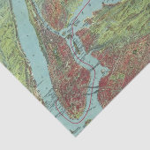 vogelkaart met Uitzicht van New York en omgeving Tissuepapier (Detail)