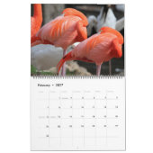 vogelkalender 2012 kalender (Feb 2027)