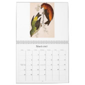 vogelkalender - 2013 kalender (Mar 2027)
