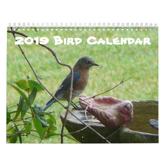 vogelkalender 2019 kalender (Hoes)