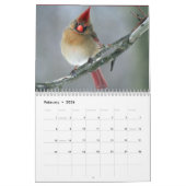 Vogelkalender 2020 kalender (Feb 2026)