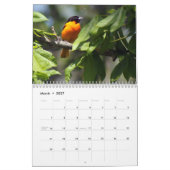 Vogelkalender 2020 kalender (Mar 2027)