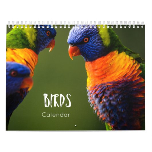 vogelkalender 2023 kalender (Hoes)