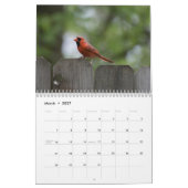 vogelkalender 2023 kalender (Mar 2027)