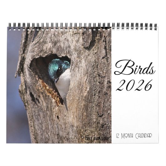 Vogelkalender 2026 kalender (Hoes)