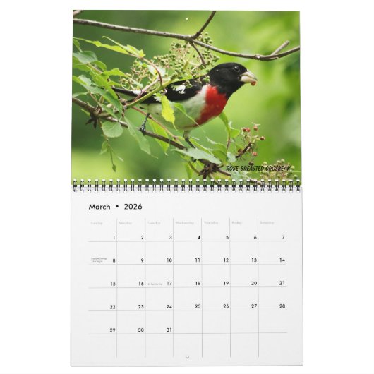 Vogelkalender 2026 kalender (Mar 2026)