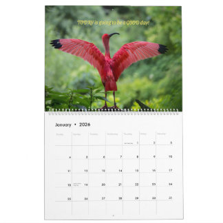 Vogelkalender 2026 - Met bijbelverzen Kalender