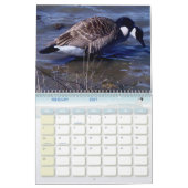Vogelkalender 5 kalender (Feb 2027)