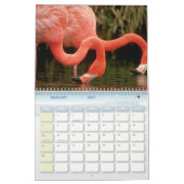 Vogelkalender 6 kalender (Feb 2027)