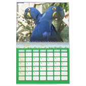 Vogelkalender 6 kalender (Mar 2026)