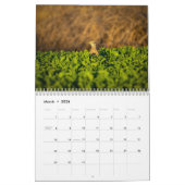 vogelkalender kalender (Mar 2026)