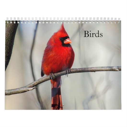 vogelkalender kalender (Hoes)