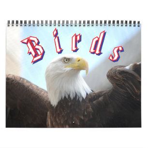 Vogelkalender Kalender