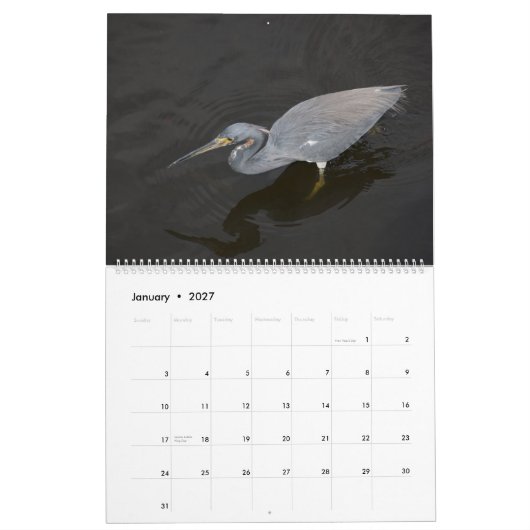 vogelkalender kalender (Jan 2027)