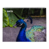 vogelkalender kalender (Hoes)