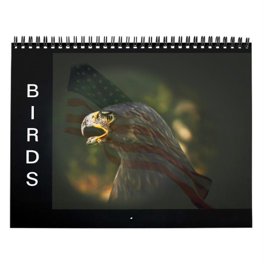 vogelkalender kalender (Hoes)