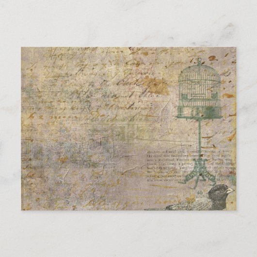 vogelkooi met script briefkaart (Voorkant)