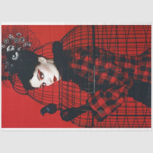  Vogelkooi Pet Bloemen Decoupage Tissuepapier (Voorkant)