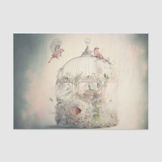 Vogelkooi Tissuepapier (Voorkant)