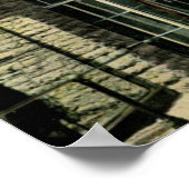 Vogelkooien in dierentuin, Cincinnati, OH Poster (Hoek)