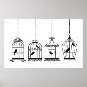  vogelkooien met schattige vogels poster