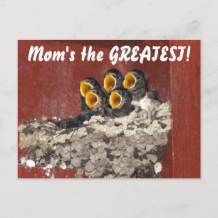 Vogelkoor zingt vrolijke Moederdag voor mama Briefkaart