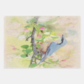 Vogelkoorts Inpakpapier Vel (Voorkant)