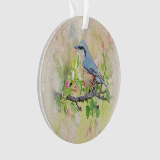 Vogelkoorts Ornament (voorkant)