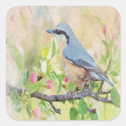 Vogelkoorts Vierkante Sticker (Voorkant)