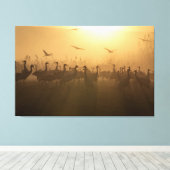 Vogelkudde van Cranes bij het Agamon HaHula, Israë Canvas Afdruk (Insitu (Houten vloer))