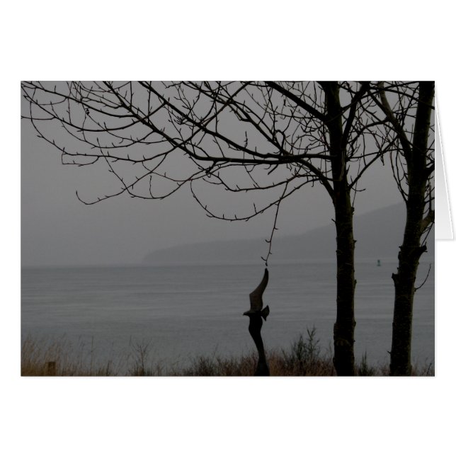 Vogelkunst en -boom (Voorkant Horizontaal)
