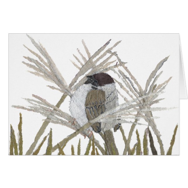 Vogelkunst, Sparrow, Winter (Voorkant Horizontaal)