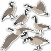 Vogellampje Canada Geese Illustrator Set Sticker (Voorkant)