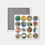 Vogelliefhebber Koelkast Magnet Magneet (Voorkant / Achterkant)