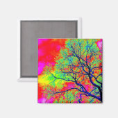 Vogelmagneet Magneet (Voorkant / Achterkant)