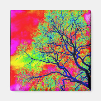 Vogelmagneet Magneet