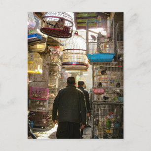 Vogelmarkt in Kabul, Afghanistan Briefkaart