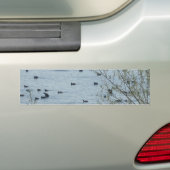 Vogelmeer Bumpersticker (Op auto)