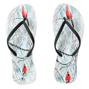 Vogelmodellen: kardinaal leven 01-01 teenslippers