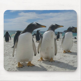 VogelMuismat 19 Muismat