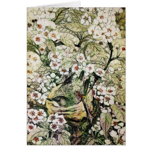 VOGELNEST, BEKIJKEN MET BROEIENDE WITTE SPRINGSTRO