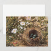 Vogelnest en hondsrozen door John William Hill (Voorkant / Achterkant)