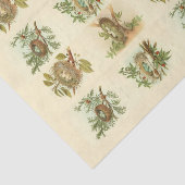 Vogelnest Illustraties Decoupage Papier (Detail)