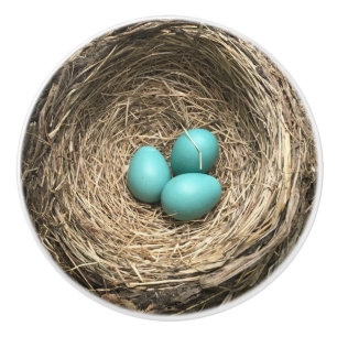 Vogelnest met blauwe eieren keramische knop