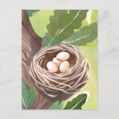 vogelnest | Waterverf Eggs Natuur Briefkaart (Voorkant)