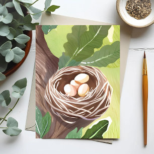 Vogelnest Waterverf Eieren Natuur Briefkaart