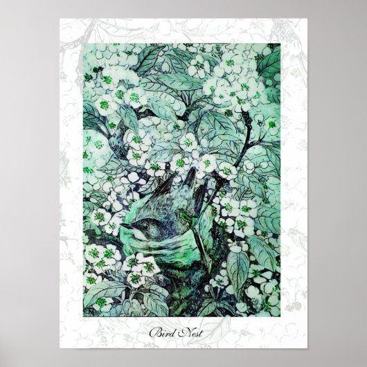VOGELNEST, wit groen Poster (Voorkant)